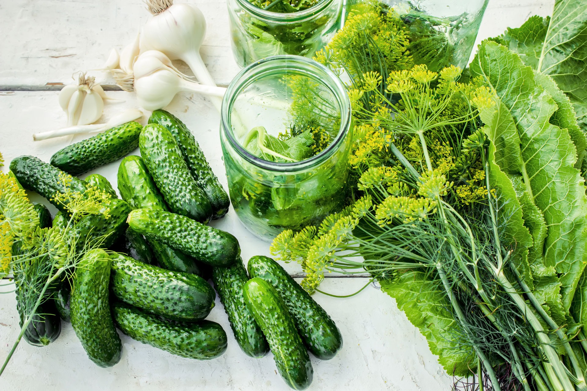 Preparation for pickling cucumbers