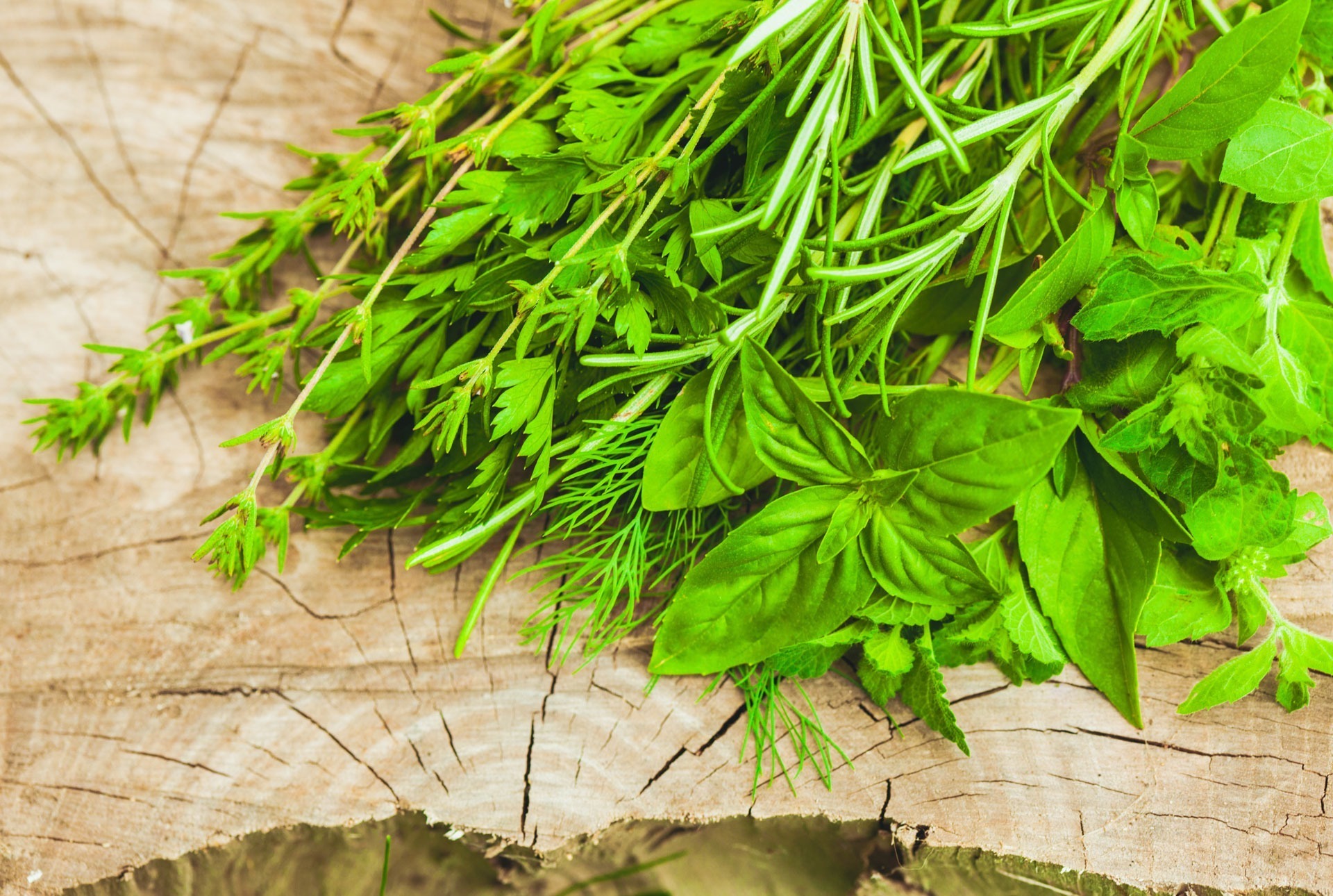Fresh herbs