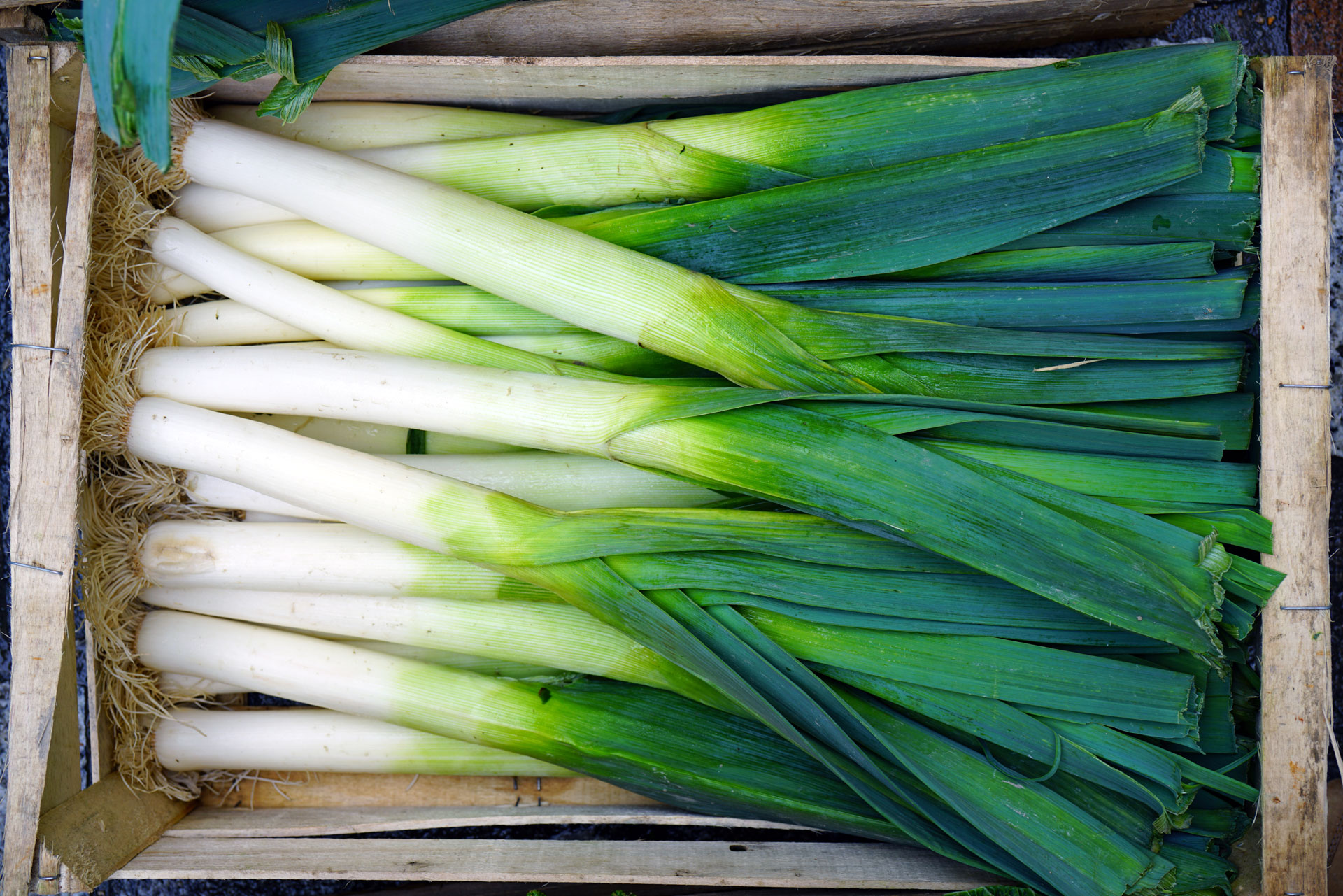 Leeks in crate at farmers' market