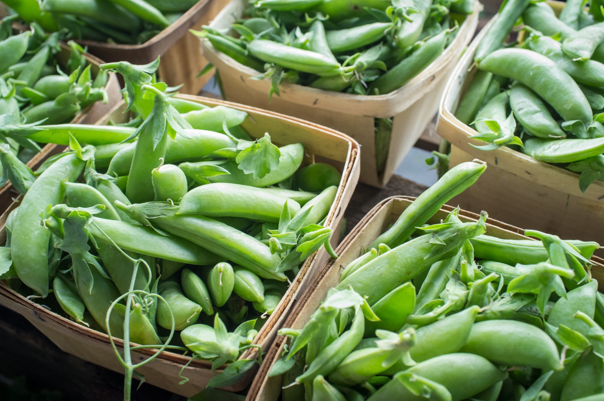 Snow Peas and Sugar Snaps