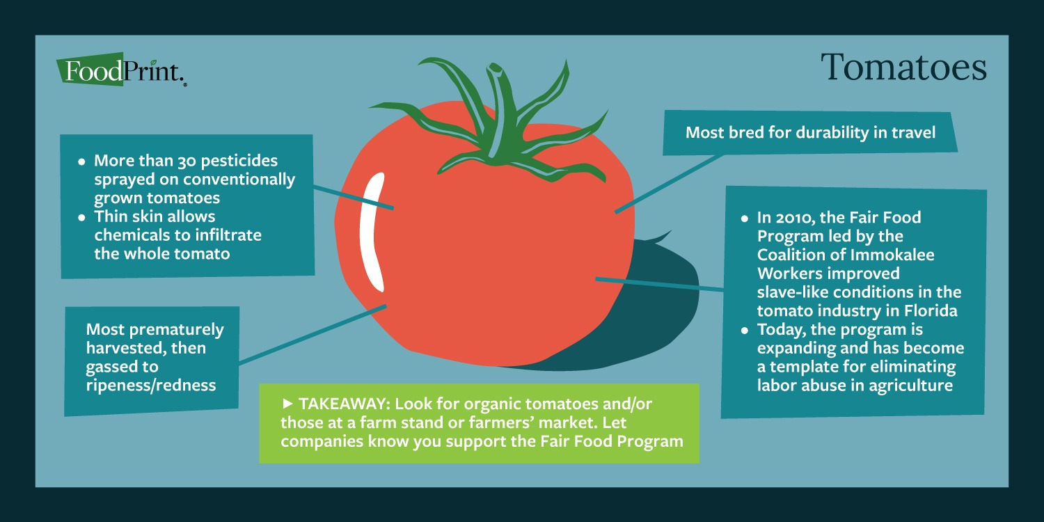 Crops Infographic Tomatoes