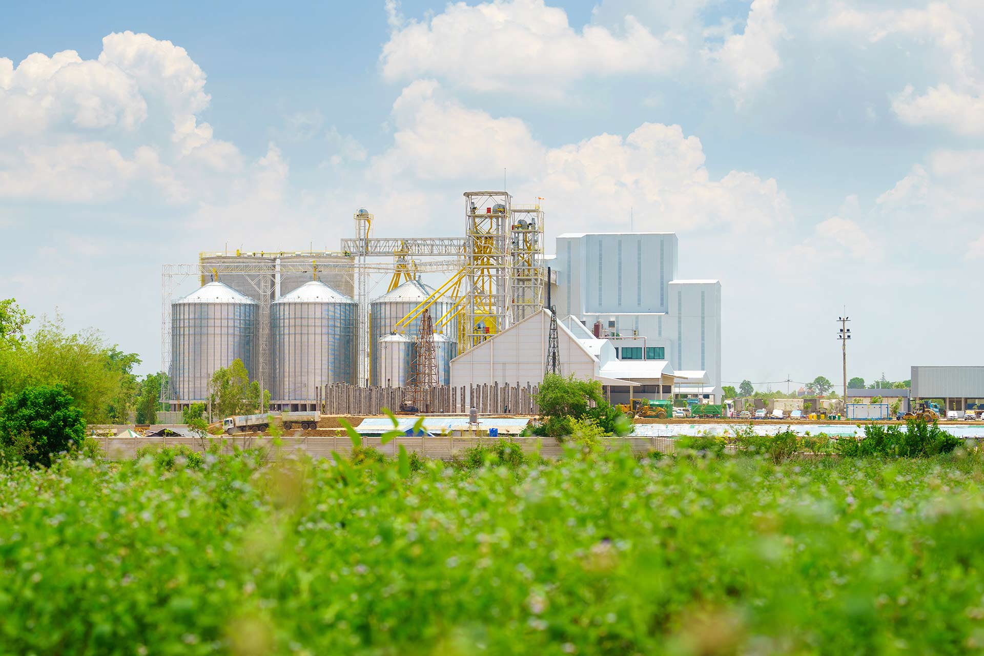 Environmental Impacts of Food-Production