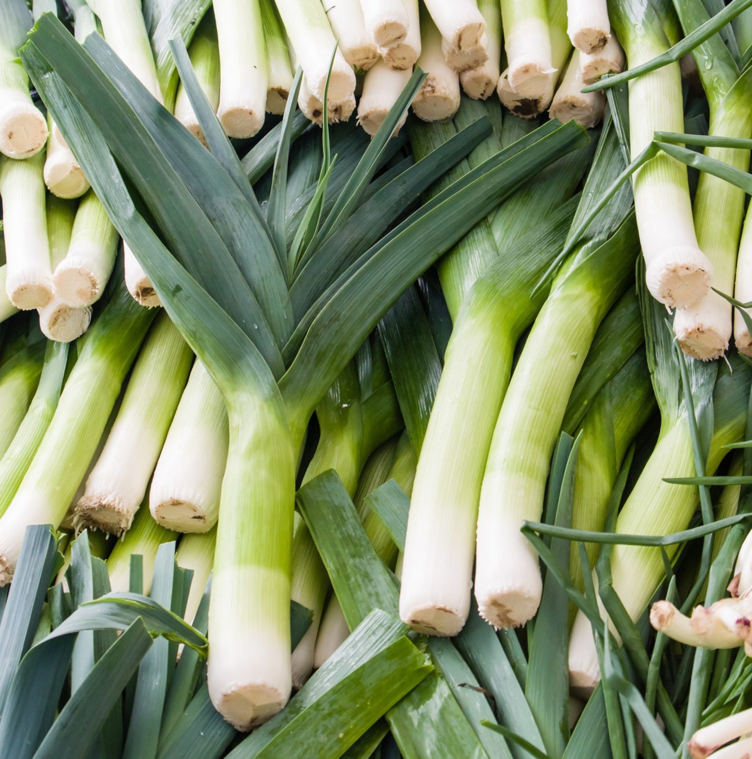 Leeks