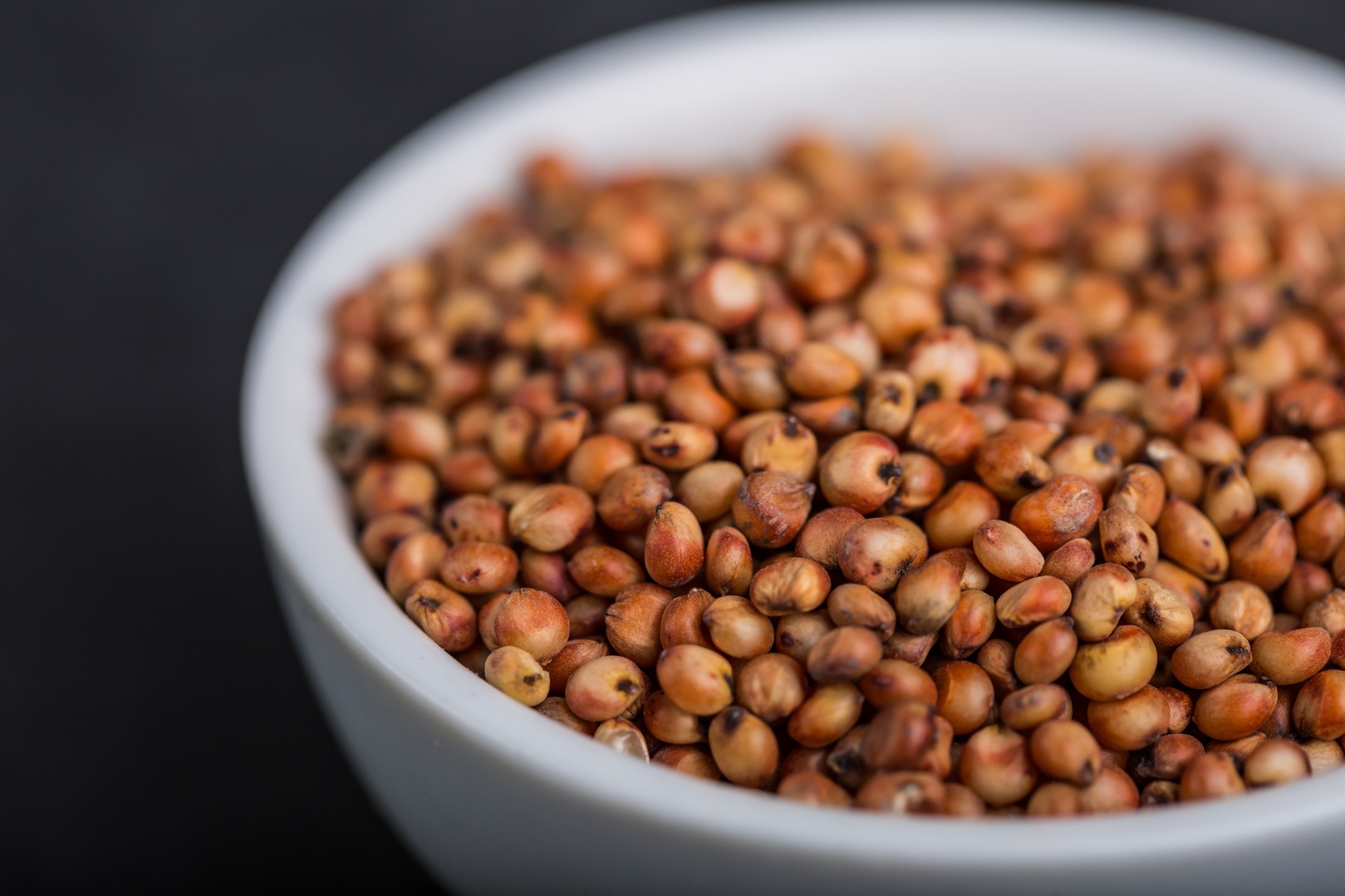 Sorghum