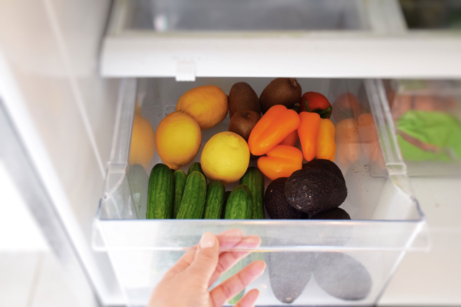 Person opening a vegetable drawer in a refrigerator