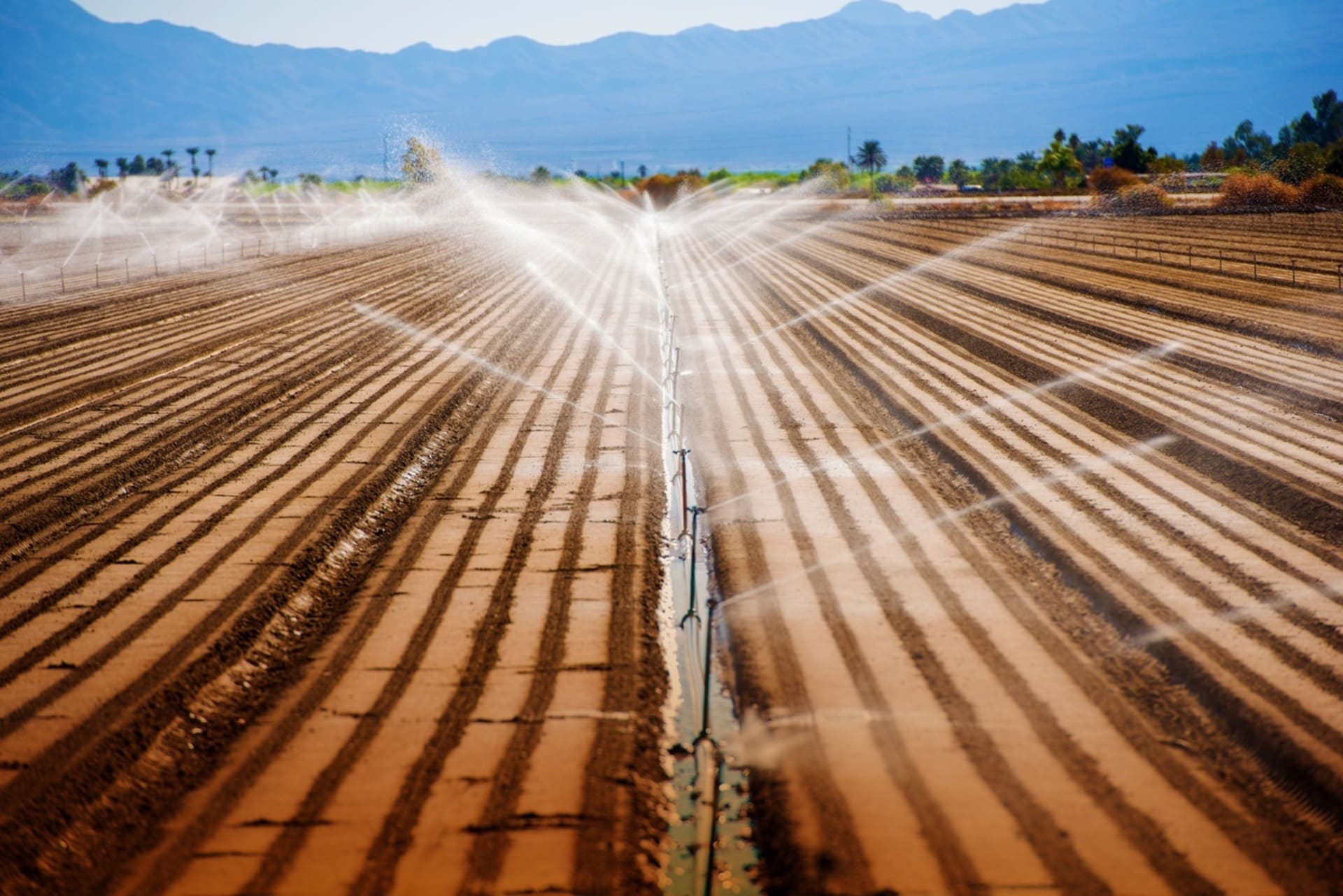 water spraying on fields