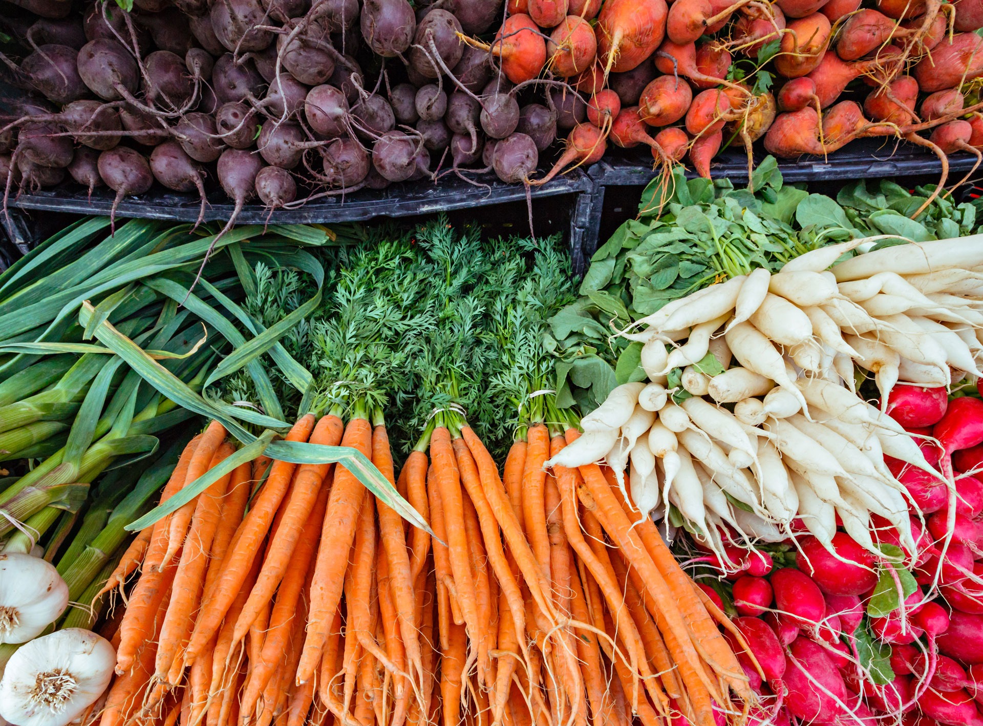 Fresh organic root vegetables at a local farmers market
