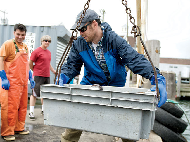 Sean Barrett, Dock to Dish