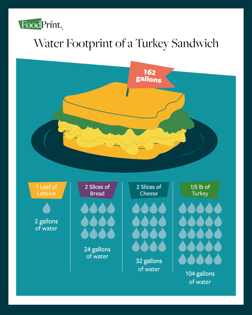 The Water Footprint of Food Infographic