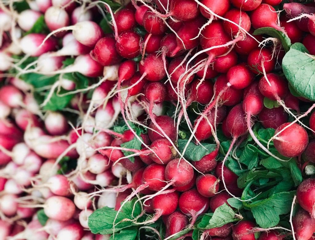 Organic radishes at the Union Square greenmarket