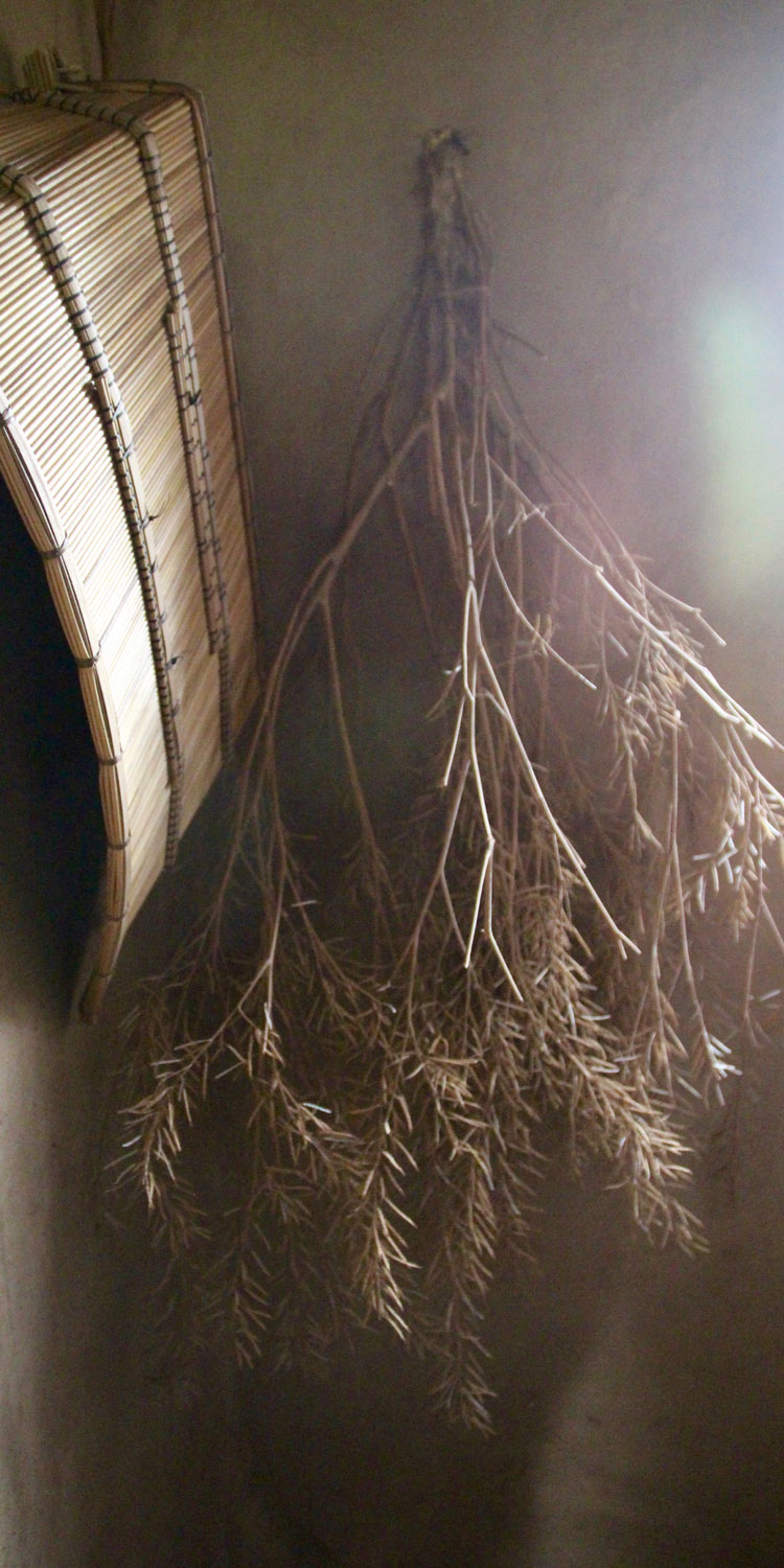 Wall hangings in the Seed Bank at Navdanya Biodiversity Farm.