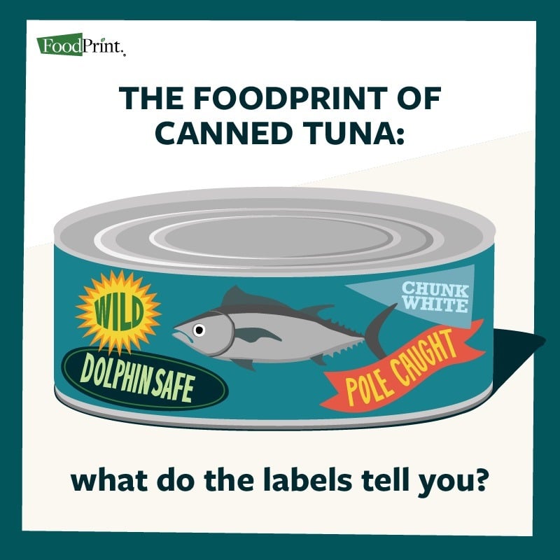 canned tuna graphic label