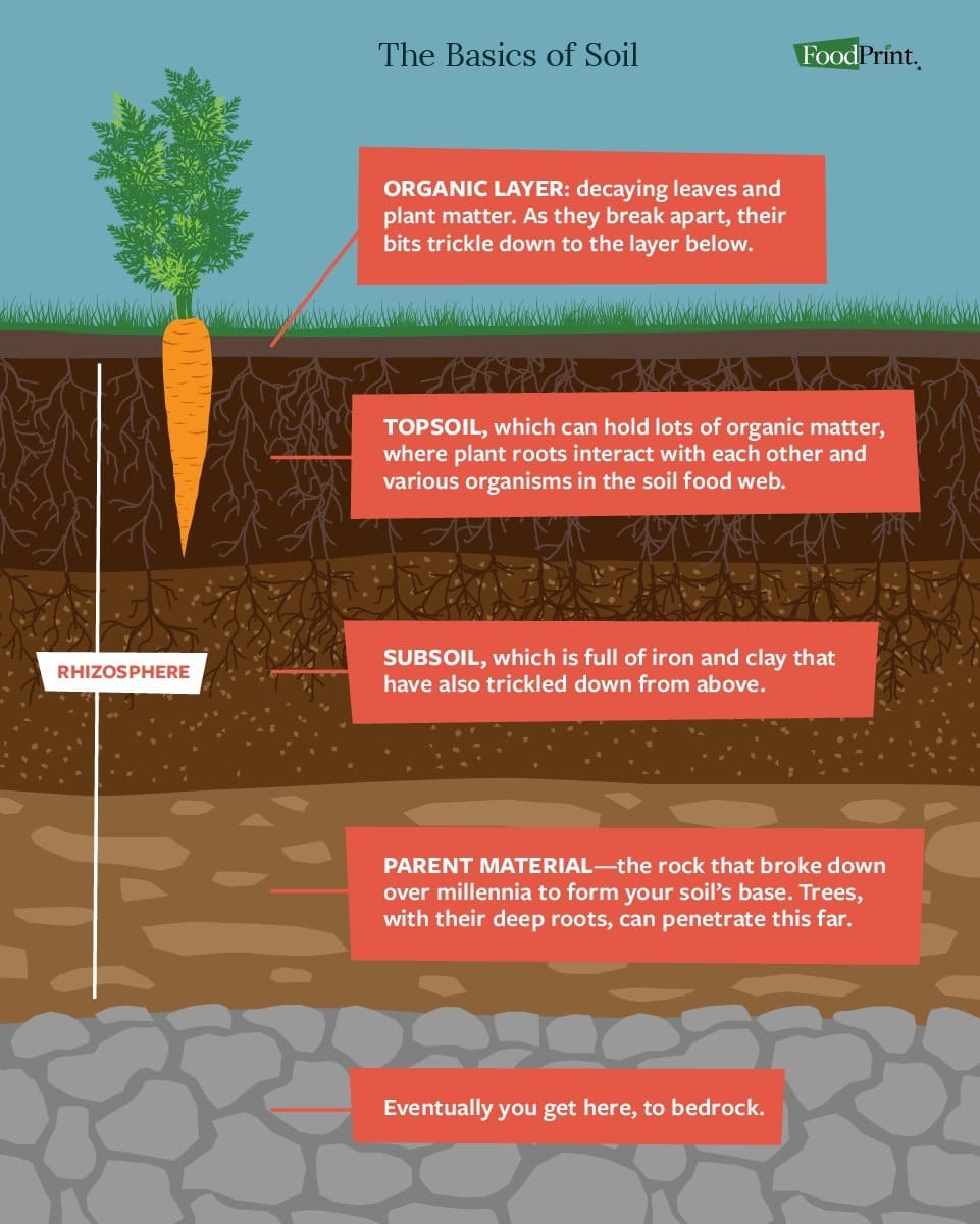 soil graphic showing the different layers