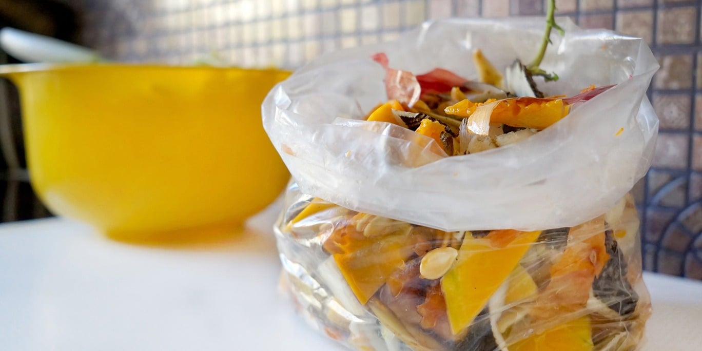Scraps to be used for Zero Waste Cooking
