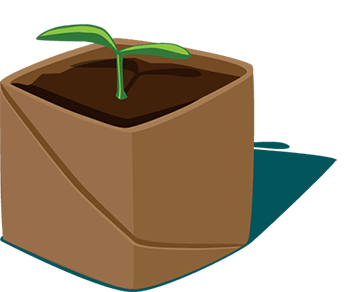 seed starter pots made from toilet paper roll