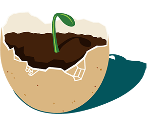 seed starter pots made from eggshell