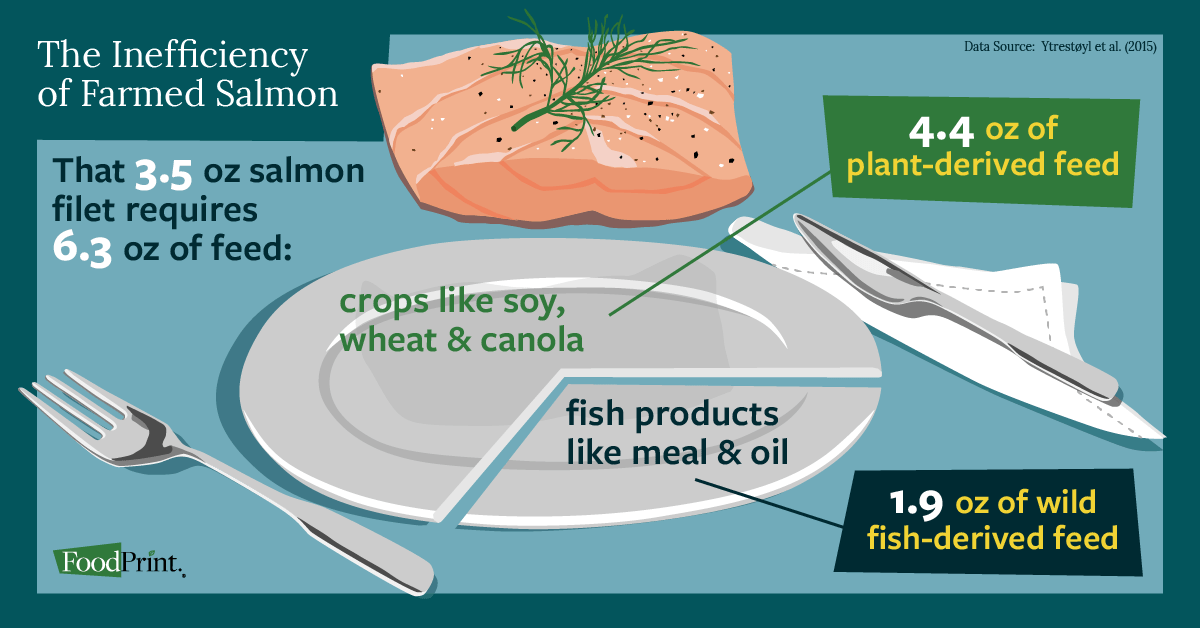 aquaculture inefficiency