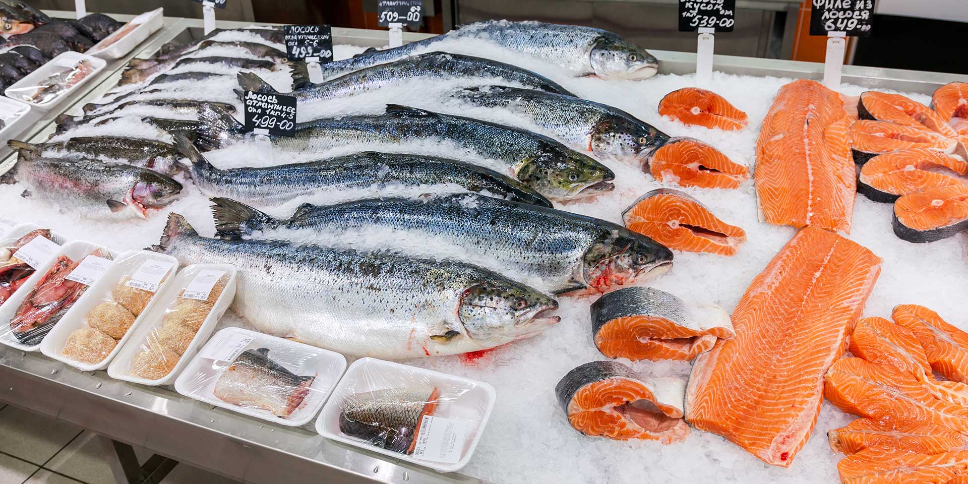 sustainable fishing
