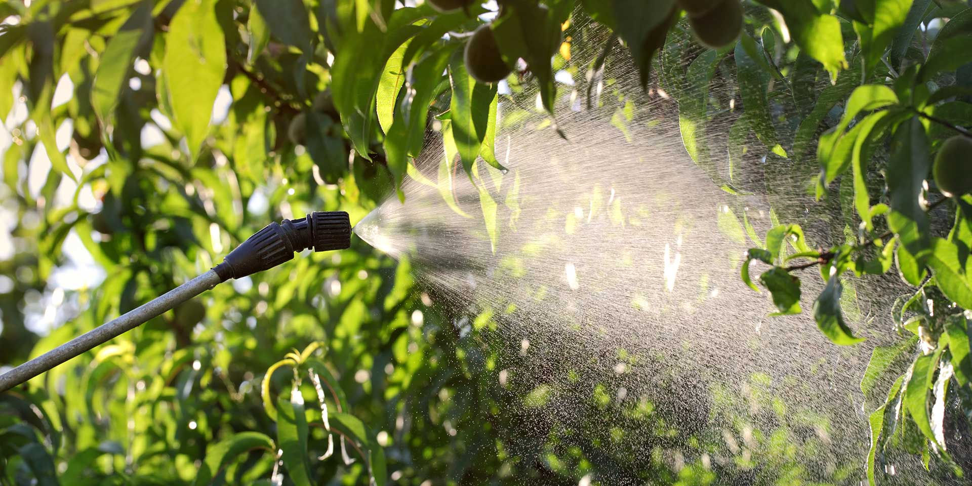 EPA Ban on Chlorpyrifos