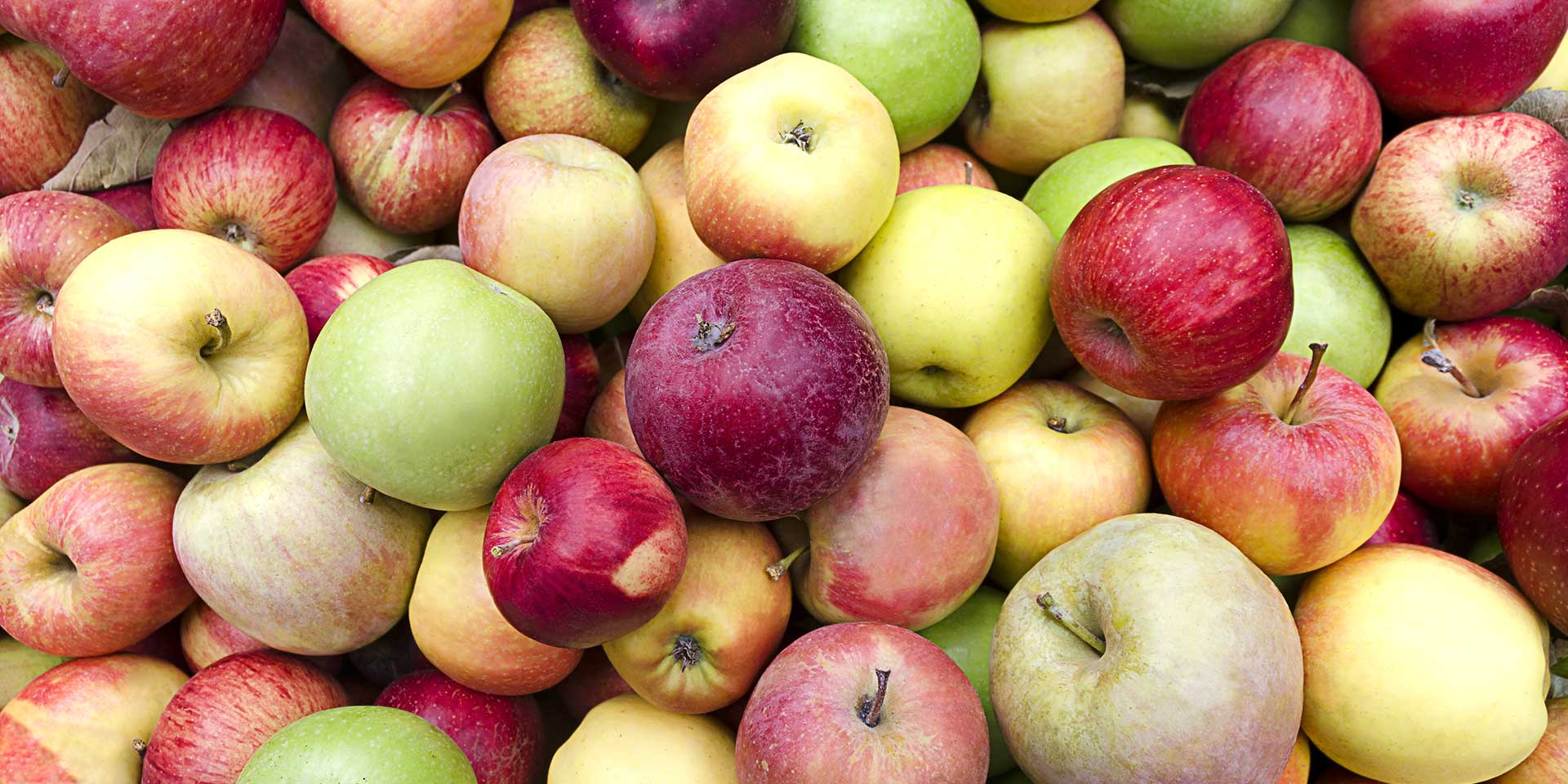 apple varieties are endless