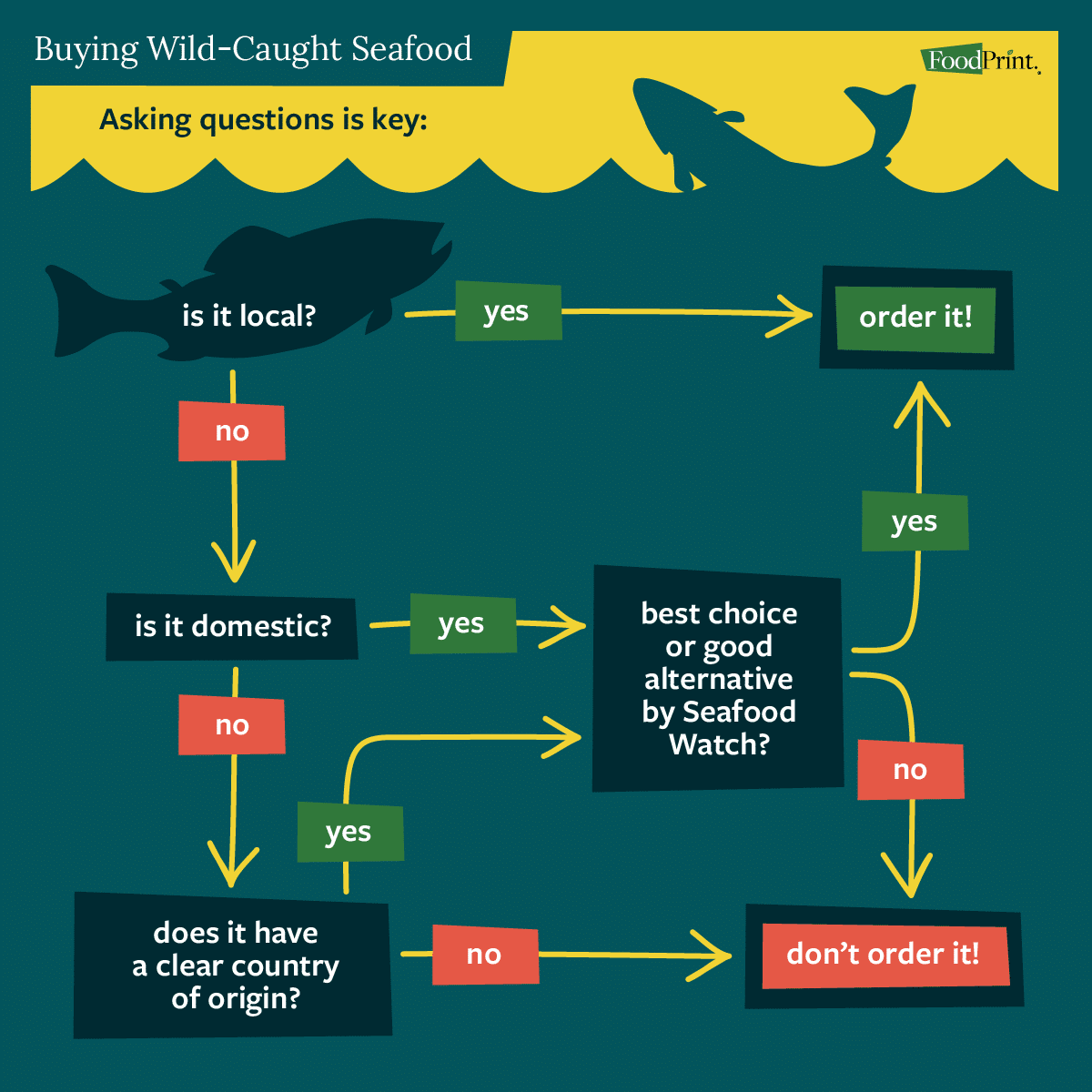 the questions to ask when buying wild-caught seafood