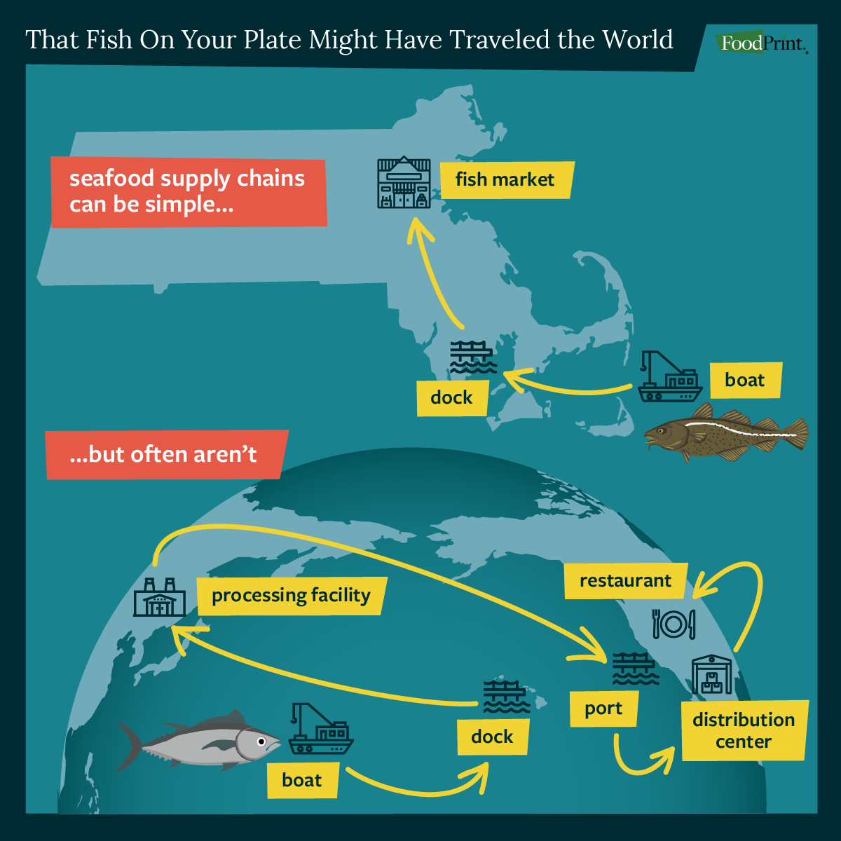 graphic depicting the supply chain for seafood and how far your fish may have traveled to get on your plate
