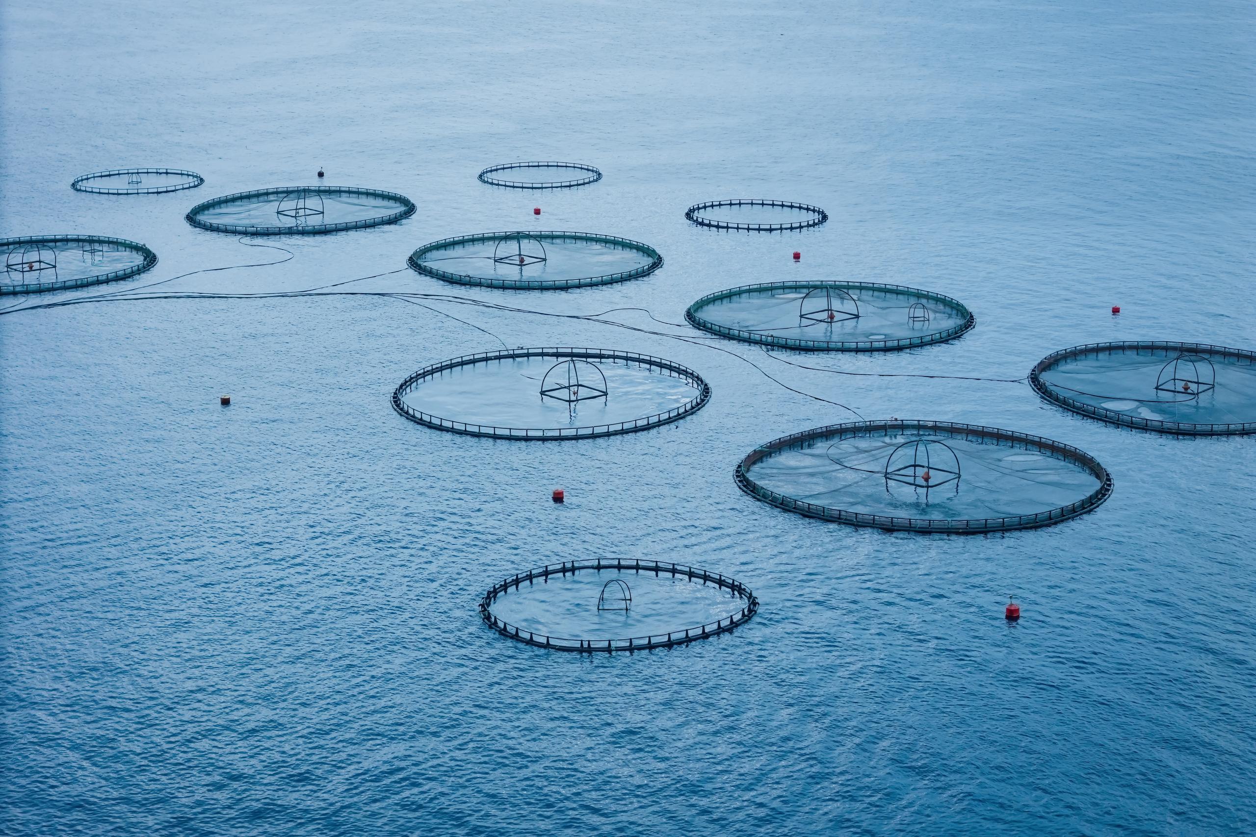 Advanced fish farm aquaculture