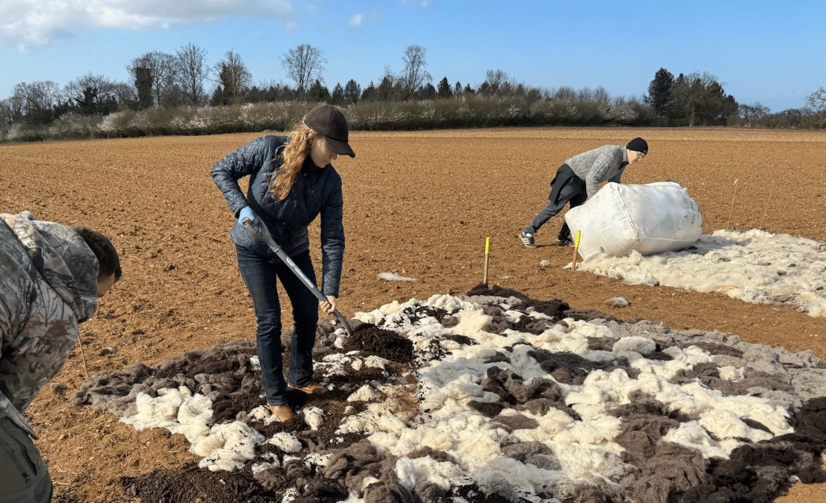 a farmer rakes in fur and wool into soil